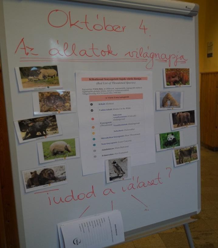 allatok1